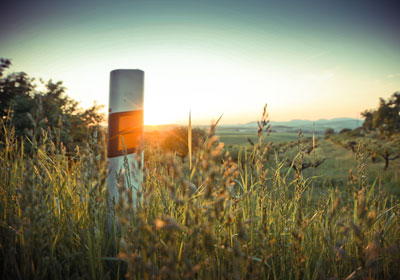 營(yíng)口科派軟件有限公司-公司介紹