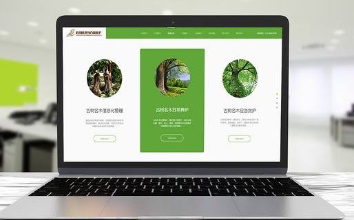 網(wǎng)站定制設(shè)計(jì)