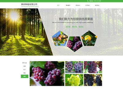 綠色環(huán)保-果樹種植基地網(wǎng)站建設(shè)案例